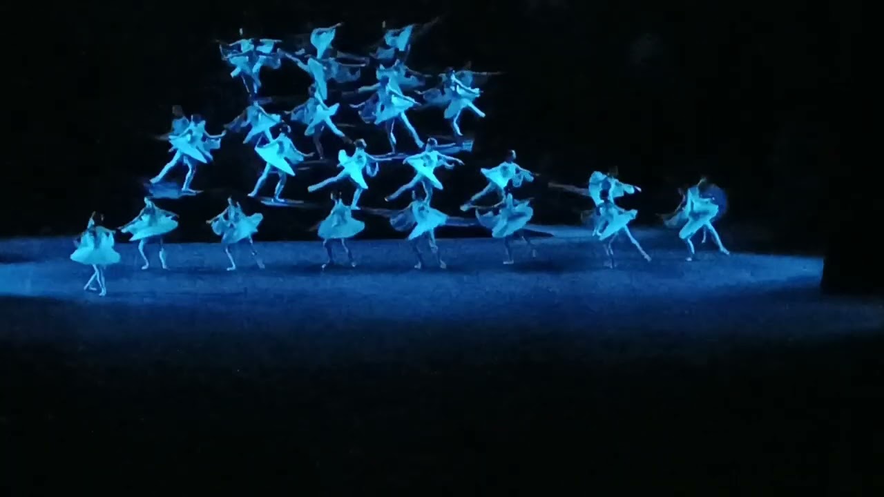 Баядерка 24  янв у 2024