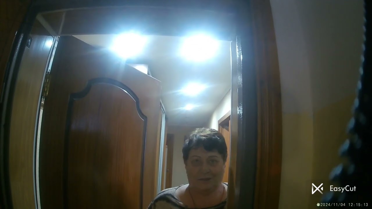 пришёл в гости к тёте