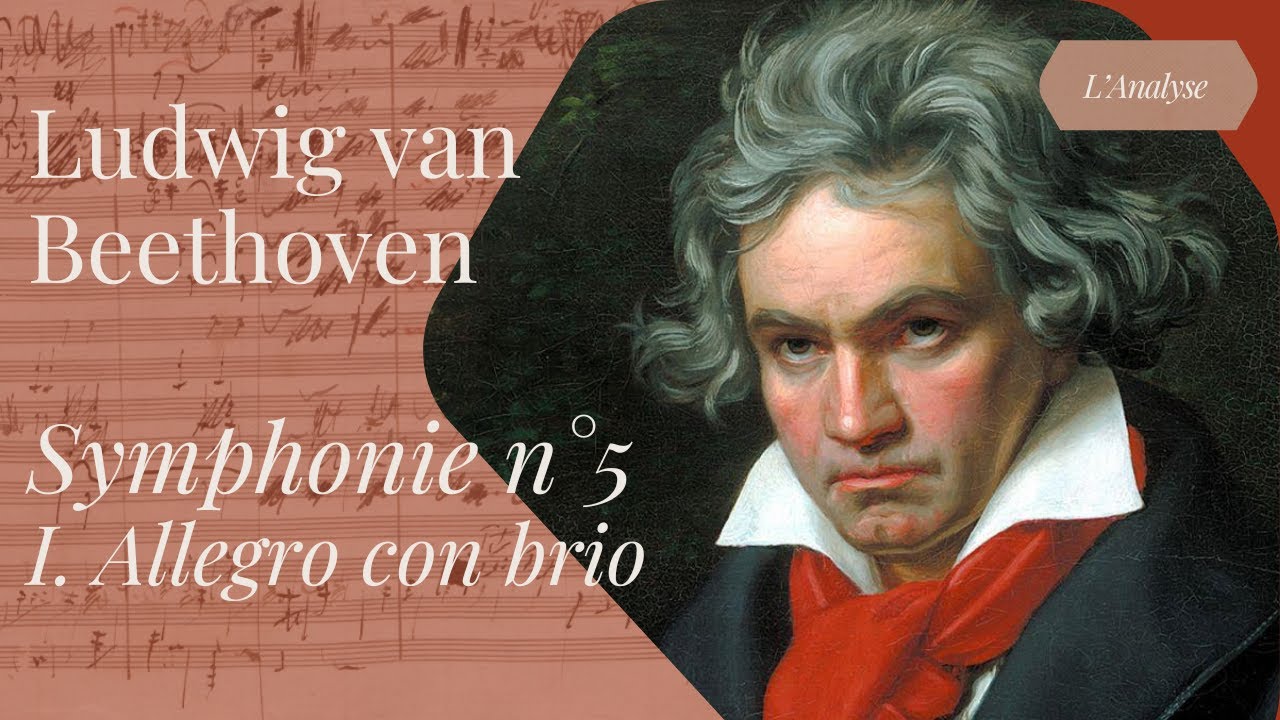 BEETHOVEN - SYMPHONIE N°5 - 1e mouvement (analyse)