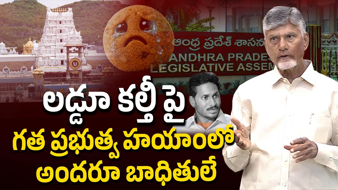 Chandrababu Naidu Assembly Speech on Tirupati Laddu Issue : Yellow Singam