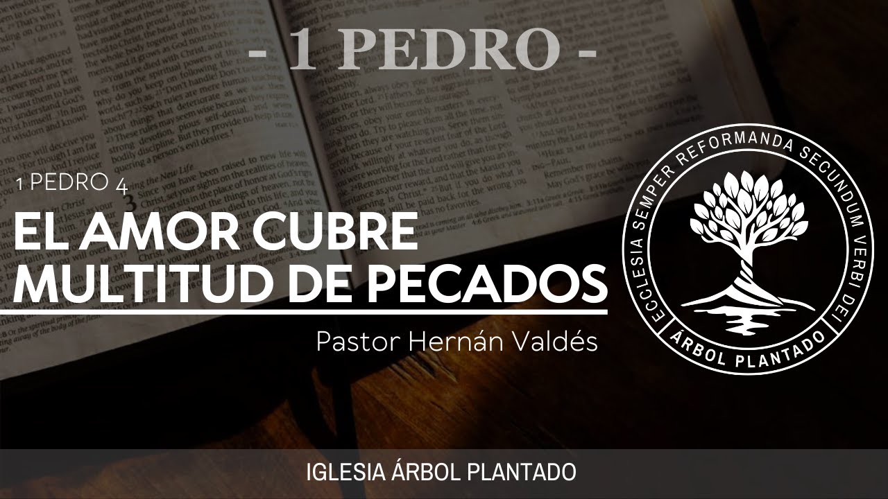 176 - El amor cubre multitud de pecados ( 1 Pedro 4 )