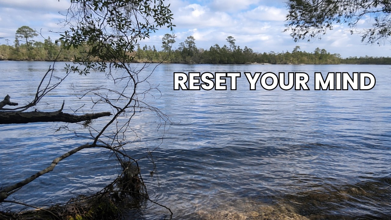 8 Minutes of Peaceful River Sounds 🌿 Quick Nature Break