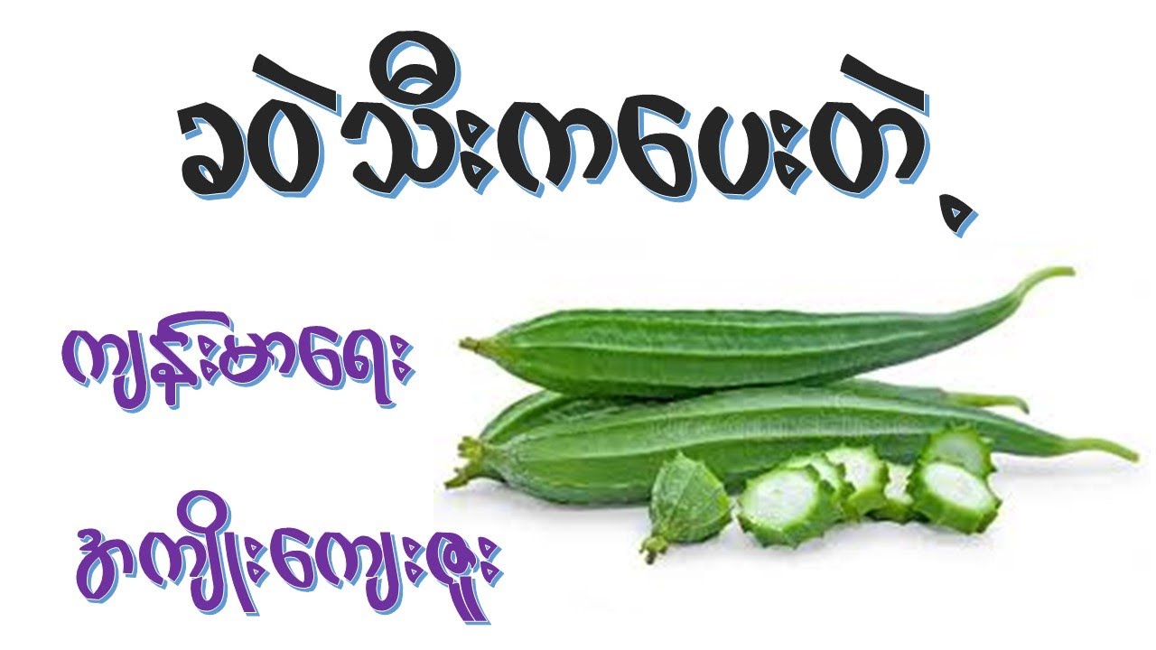 ခဝဲသီး ရဲ့အကျိုးအာနိသင် (၁၄) မျိုး  I  Health Benefits of Sponge gourd