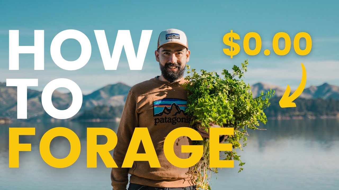 How to Forage in New Zealand