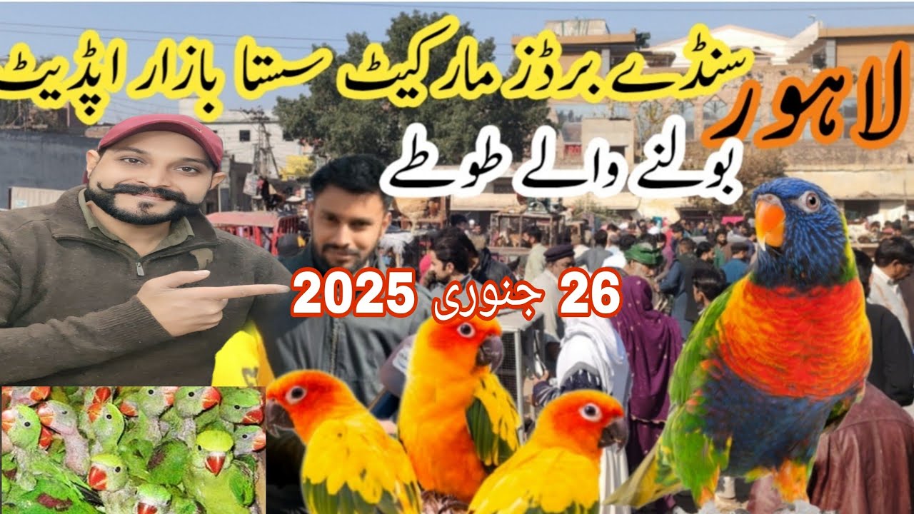 Lahore Sunday Bird Market Mai AJ Bht Hi nayab Birds😍| AJ Market Mai bht C New Variety😱| Sasta Bazar🦜
