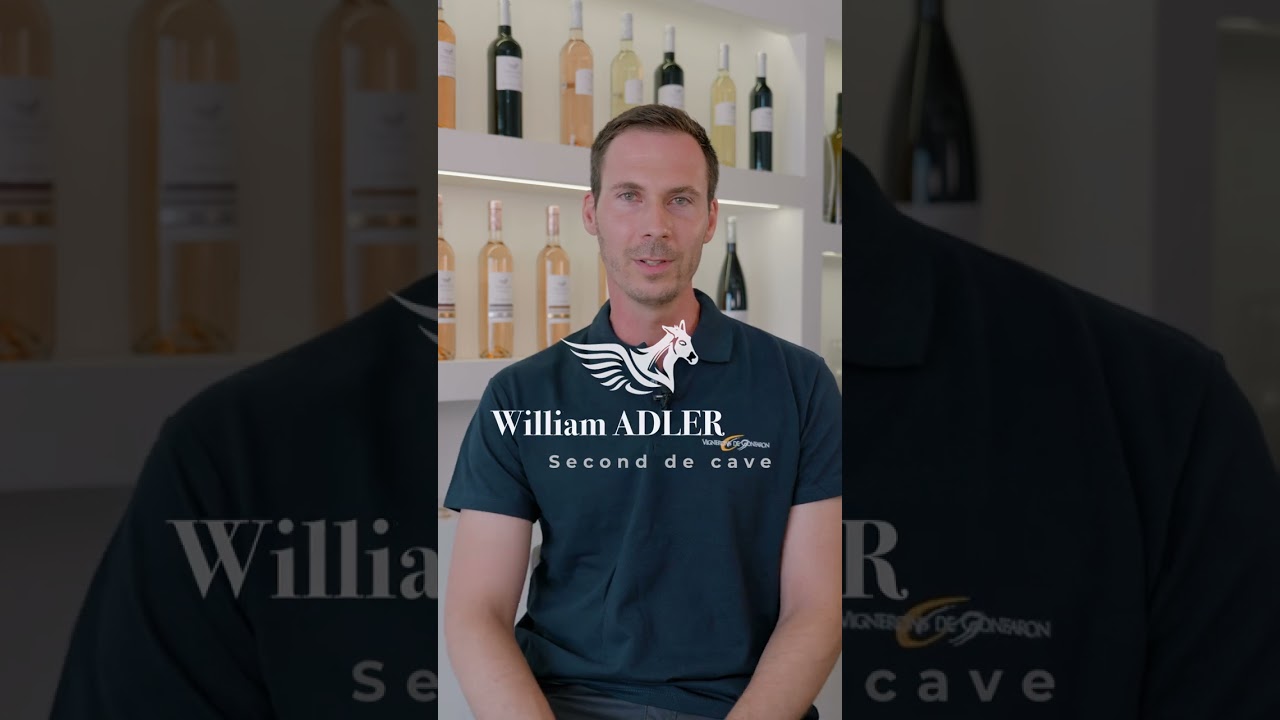Film - Les Vignerons de Gonfaron 🍇