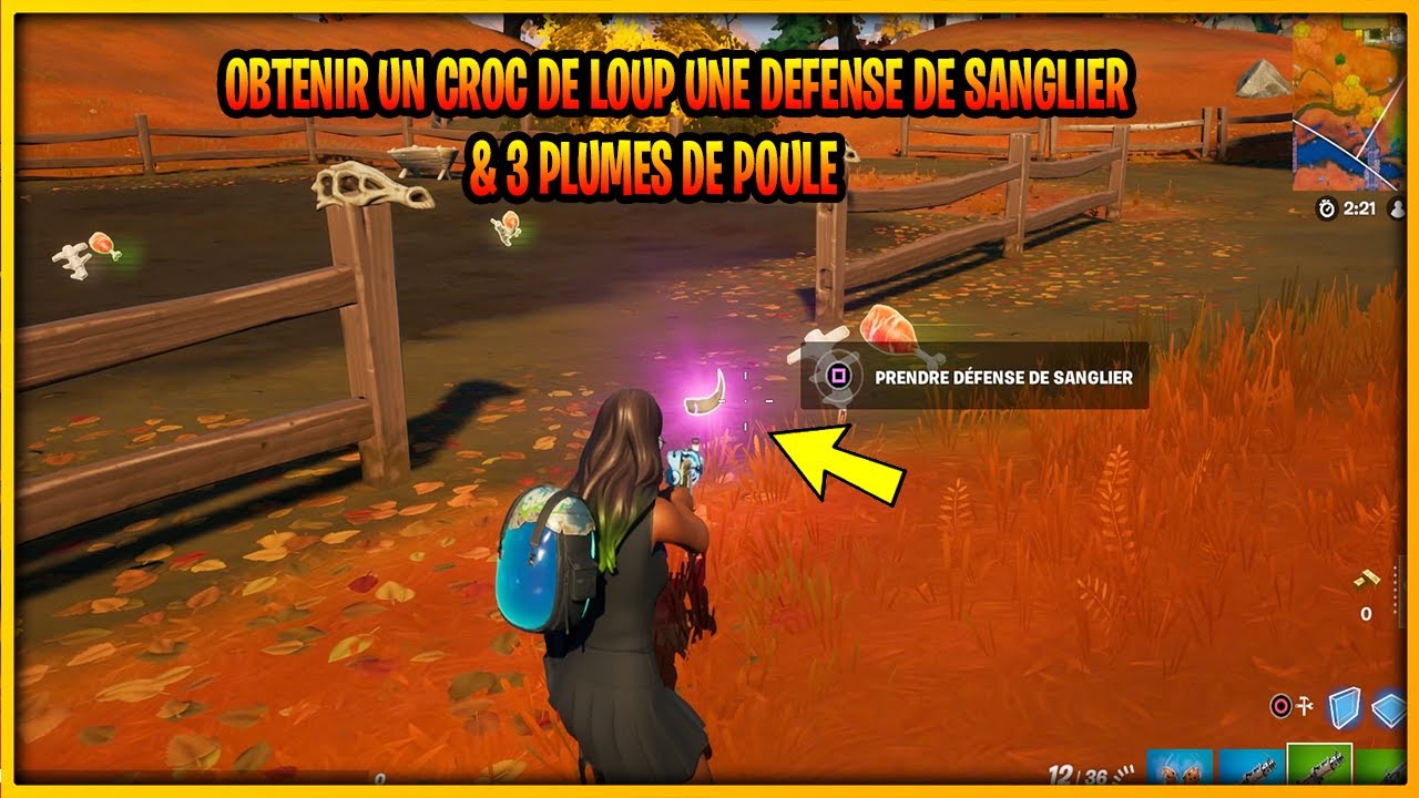 OBTENIR UN CROC DE LOUP UNE DÉFENSE DE SANGLIER & 3 PLUMES DE POULES ,QUETES DE LA FLÈCHE [FORTNITE]
