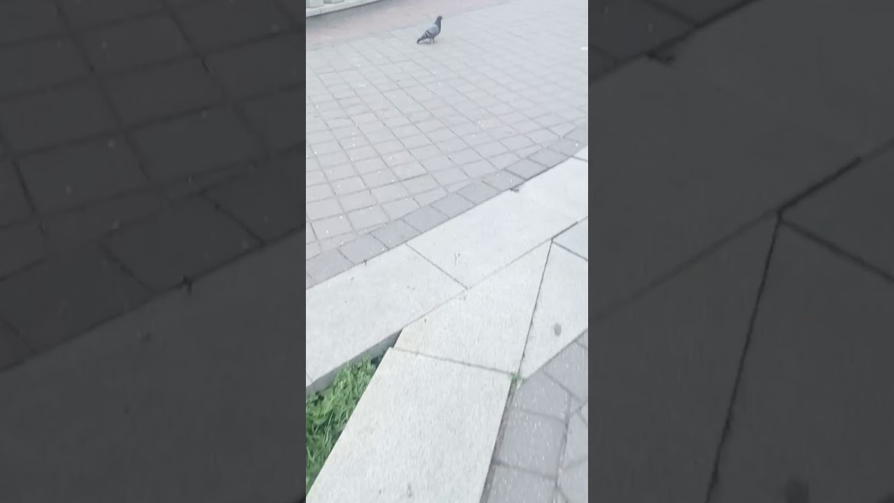 Фестиваль попрошаек на Немиге