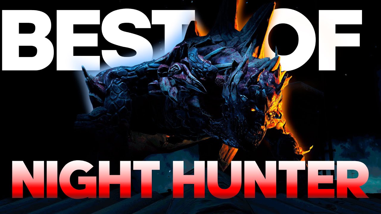 Best of Night Hunter #1