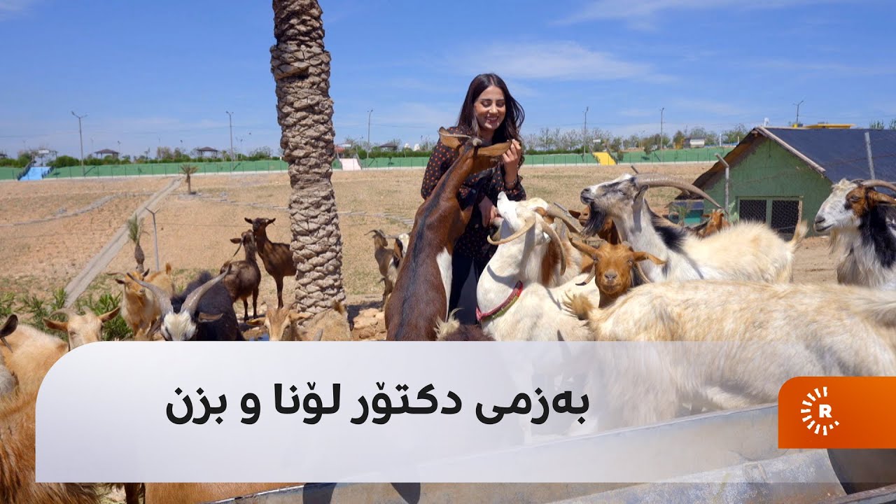 بەزمی دکتۆر لۆنا و بزن