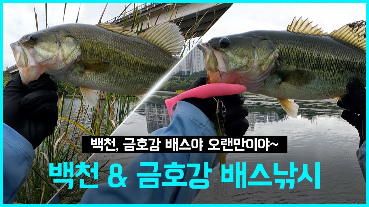 [배스낚시] 가을 강계, 