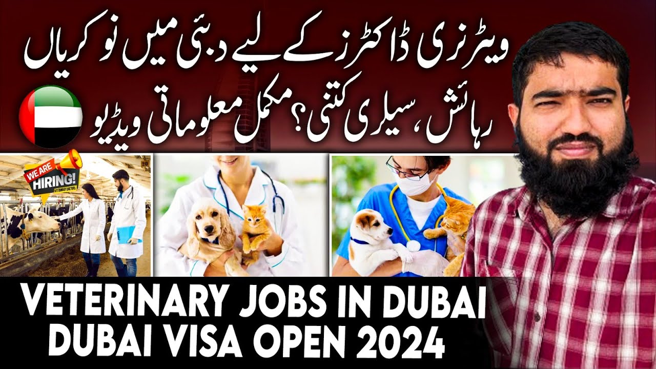 Veterinary Jobs In Dubai |  Salary | VETERINARIAN / Dairy, Poultry & Pets | Dubai Visa Open 2024