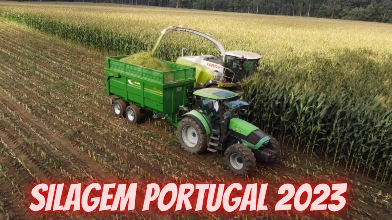 Silagem Portugal 2023 🌽 (Lavra,Matosinhos)