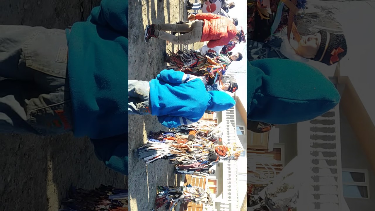 Capra de la Miletin 2017