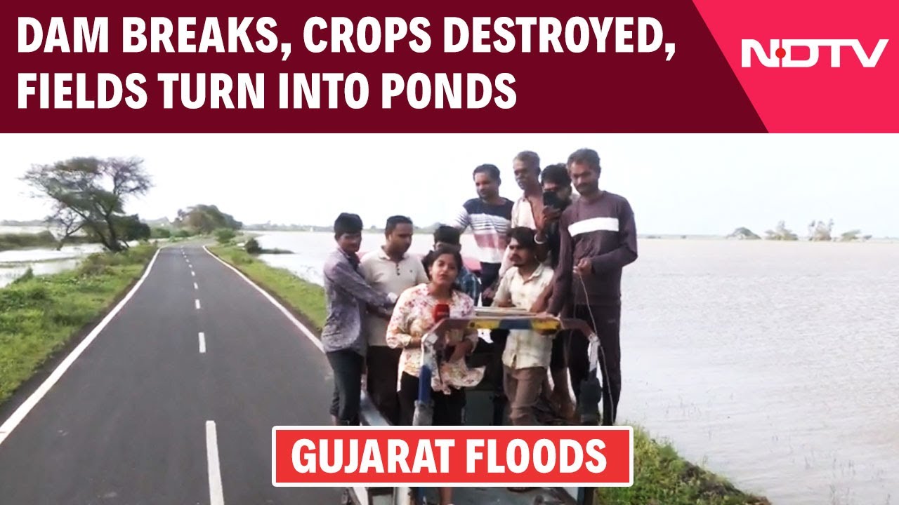 Dam Breaks, Crops Destroyed, Fields Turn Into Ponds As Flood Hiyts Gujarat's Junagadh