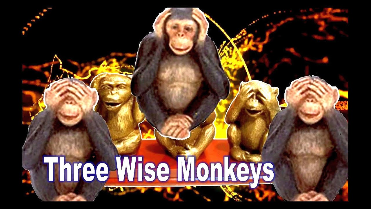 Three Wise Monkeys/The Story/