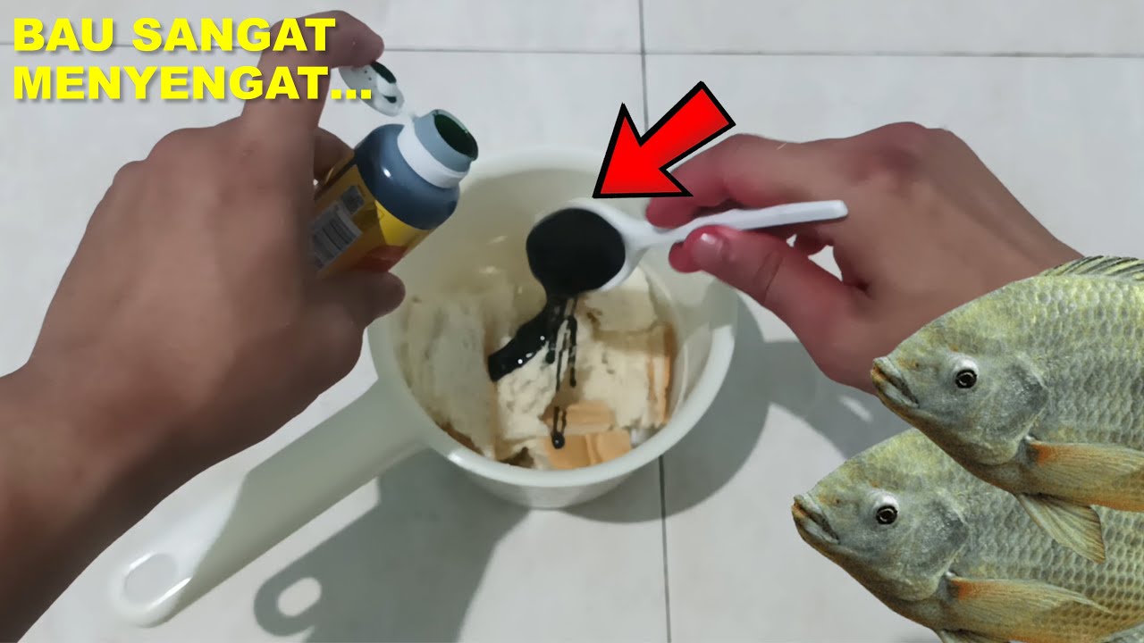 PANTAS ESSEN MURAH PALING DICARI!! TERNYATA GACOR BUAT UMPAN IKAN NILA
