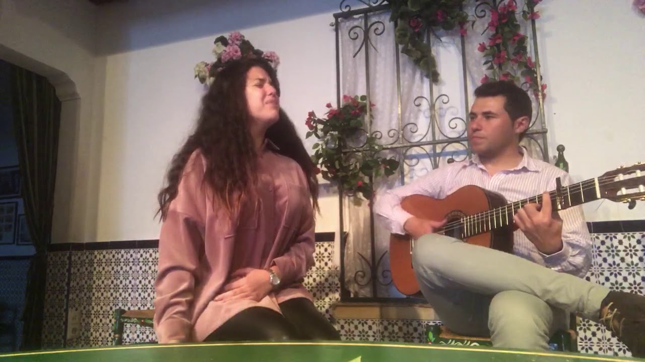 Beatriz Romero, S.O.S