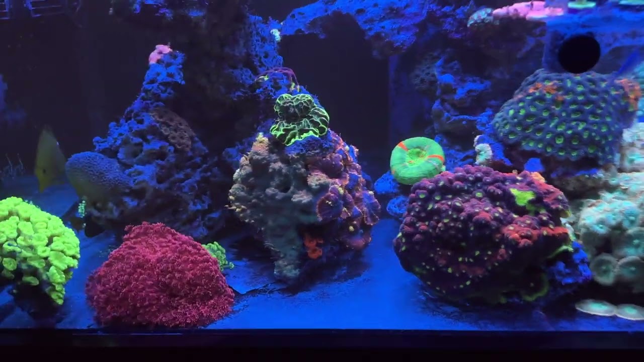 10. October 10th 2022 Tank Update