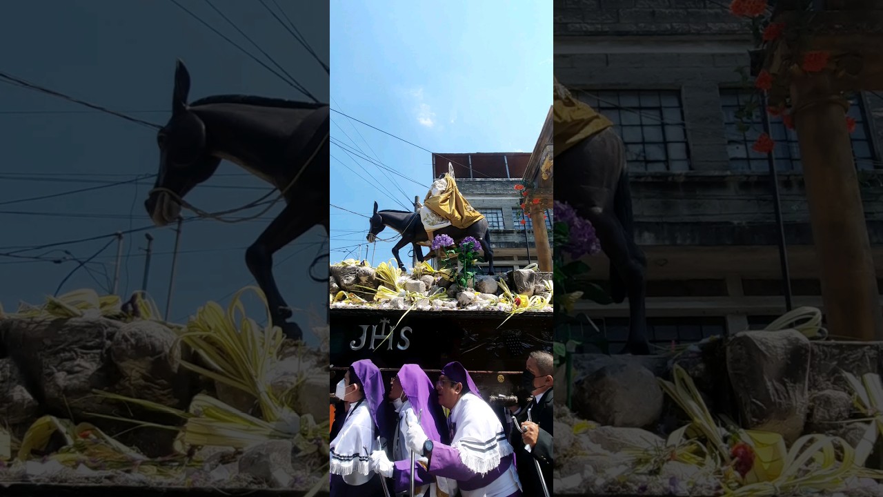 Jes&uacute;s de las Palmas el Domingo de Ramos 2023