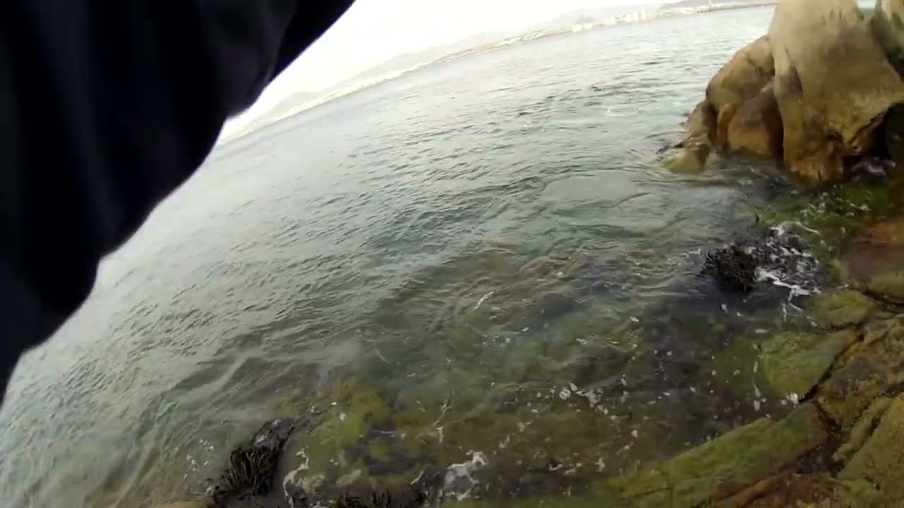 Mono (Bonito) con Equipo UL - Fuerte Lambert Coquimbo.