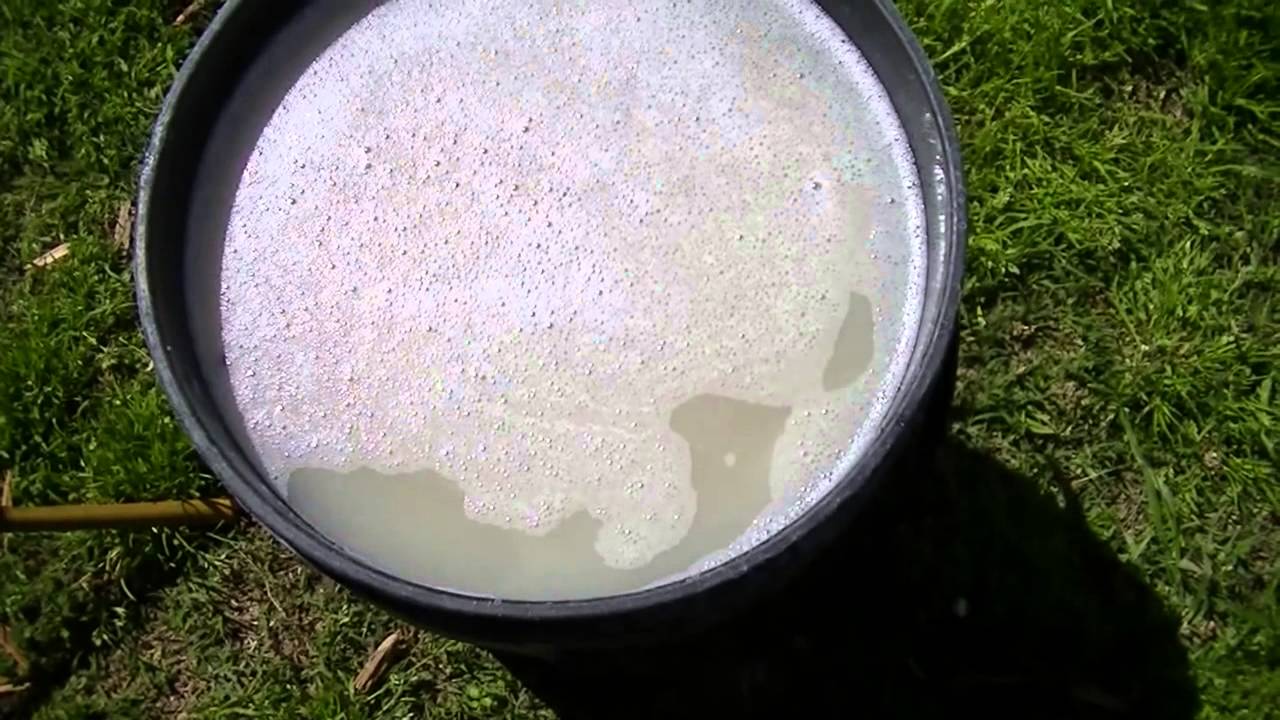 ¿Cómo pelar cuero de vaca con jabón en polvo? 