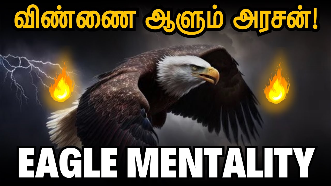 🔥கழுகை போல் உயர்வாக சிந்தித்து பழகு🔥 / Eagle Attitude / The Power of Eagle Mindset