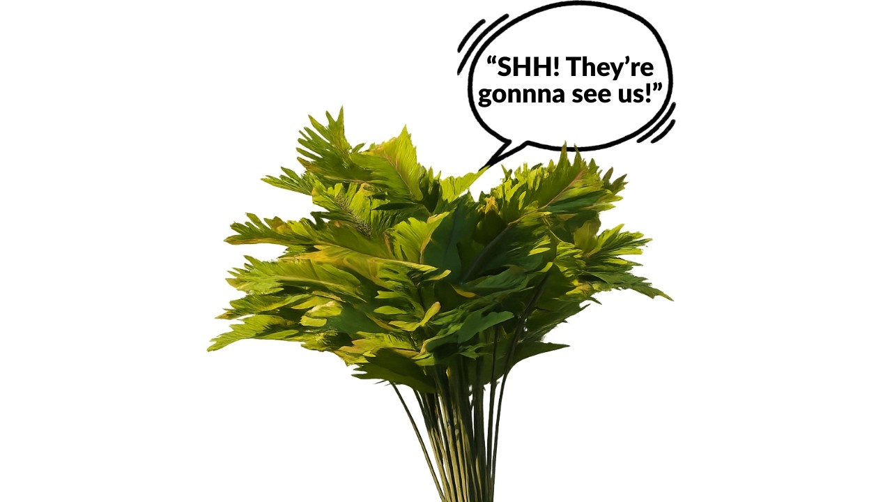 I played Hide and Seek in Apex Legends - (Hosted by @BirnoOCE)