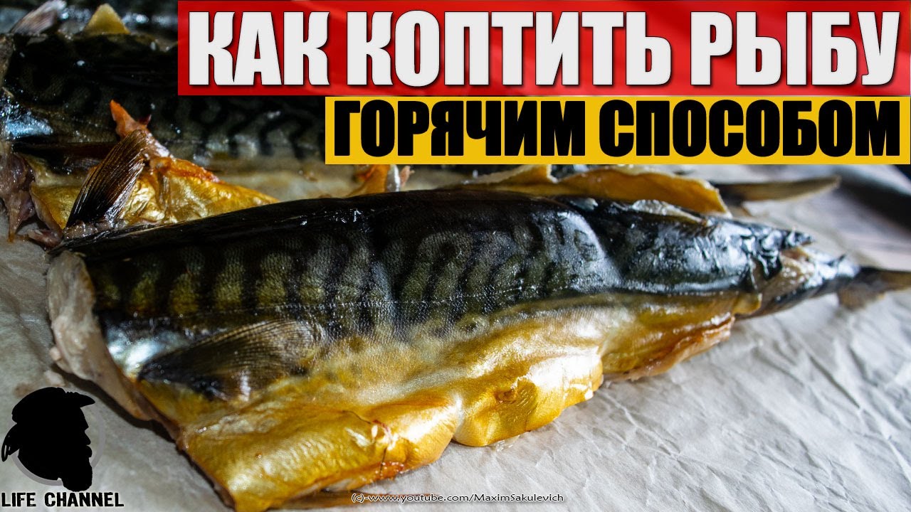 Как Коптить Рыбу Горячим способом (на примере скумбрии) [EN SUB]