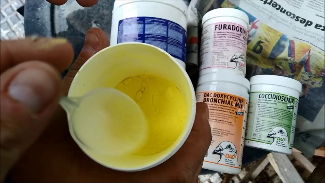 Medicación en aviarios en agua de bebida