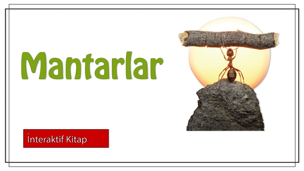 Mantarlar #sayfa94