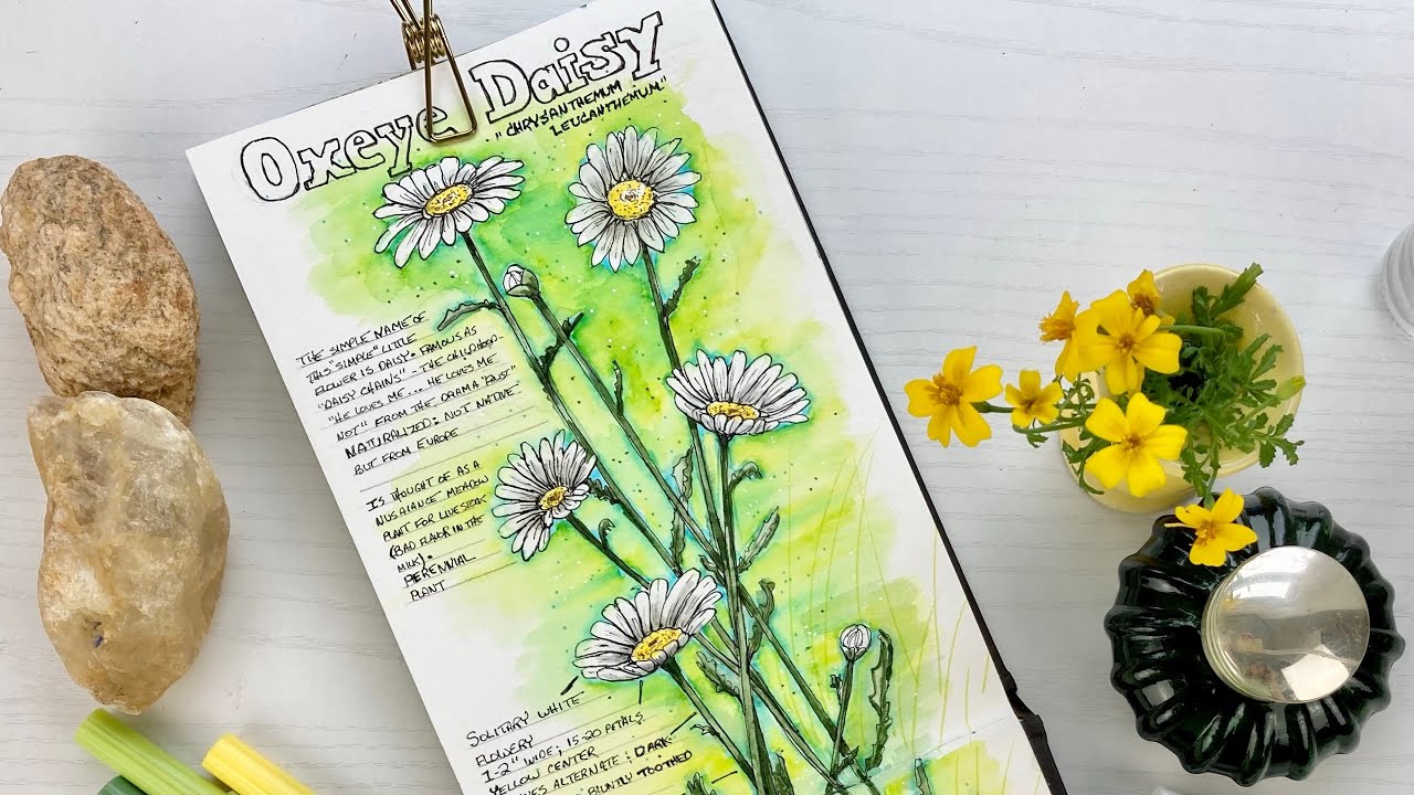 Nature Journal with Brush Pens as Watercolors