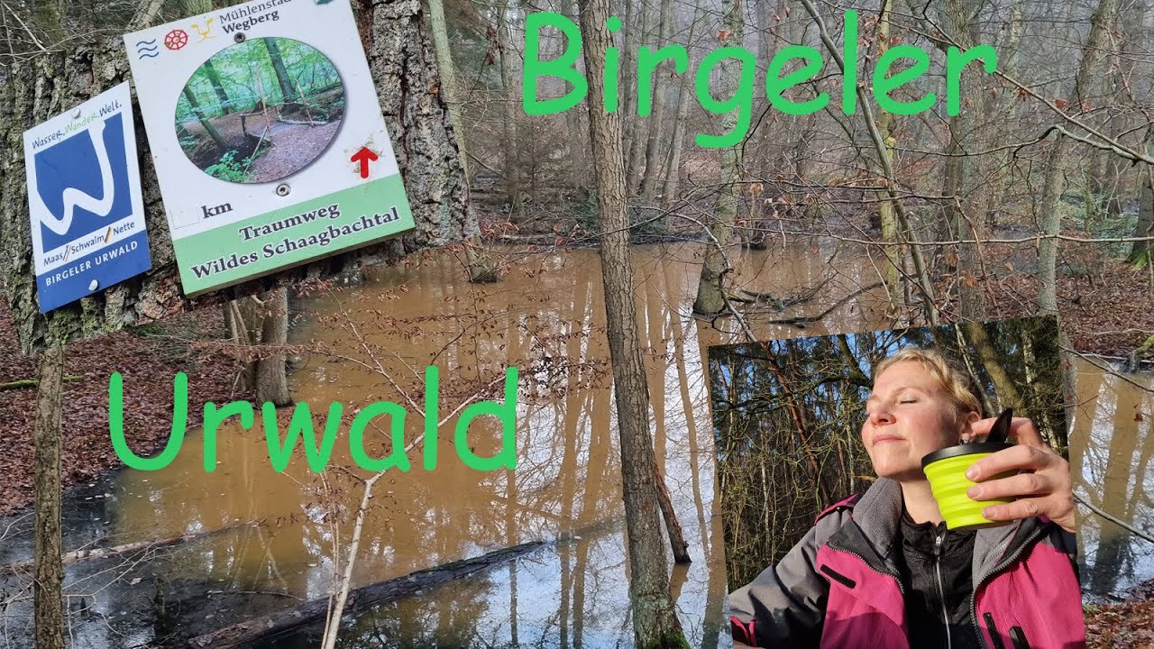 Wandern im Birgeler Urwald 🍃🌲🌳 / Paket von Jörg 🎁
