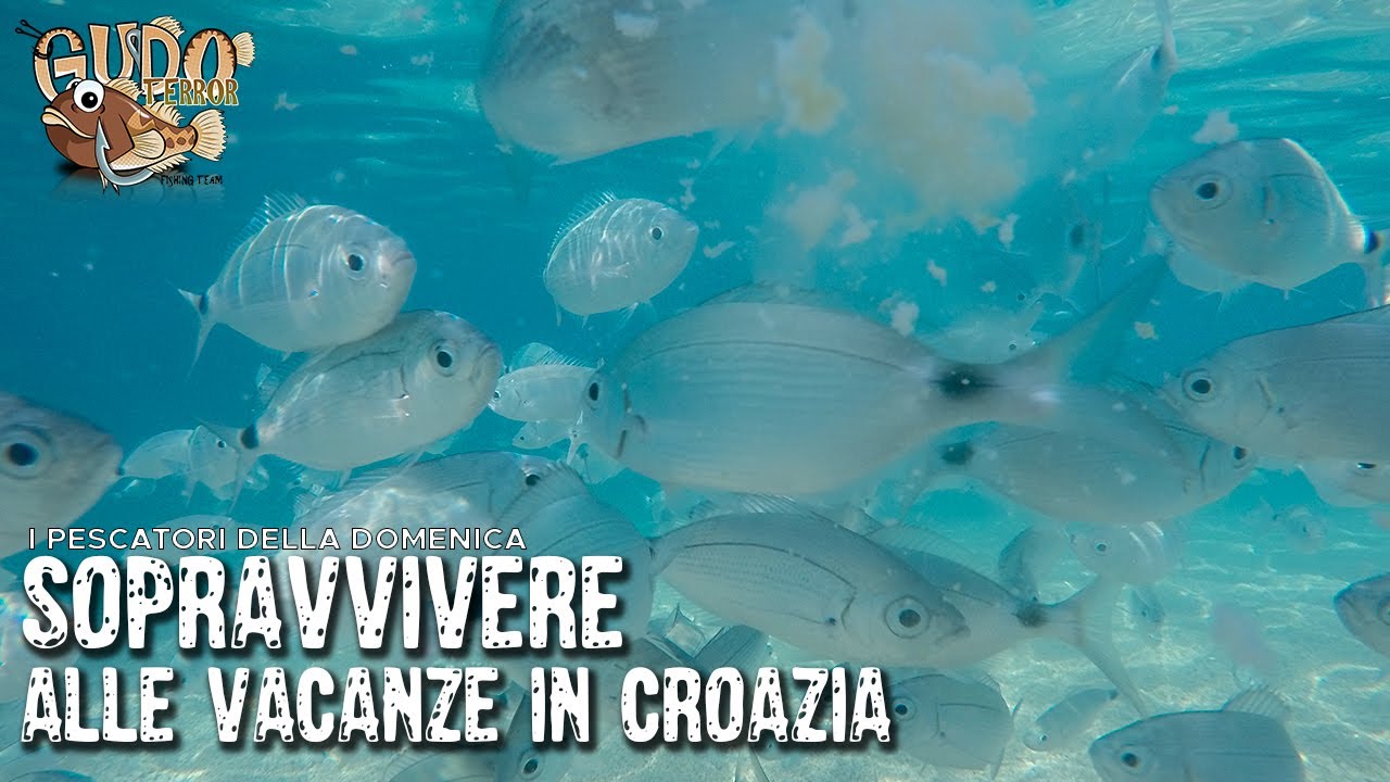 3#6 Sfida di pesca in Croazia - 10 pesci diversi in 24 ore con la stessa tecnica