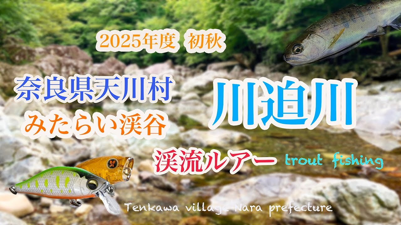[奈良県天川村 川迫川 渓流ルアー2025 vol3]  初秋のアマゴ釣り
