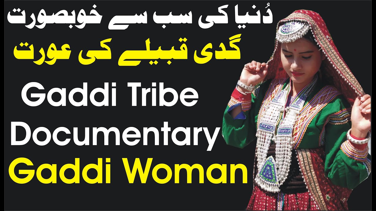 Gaddi Tribe Women's|Gaddis|Himachal Pradesh ! Gaddi Tribes