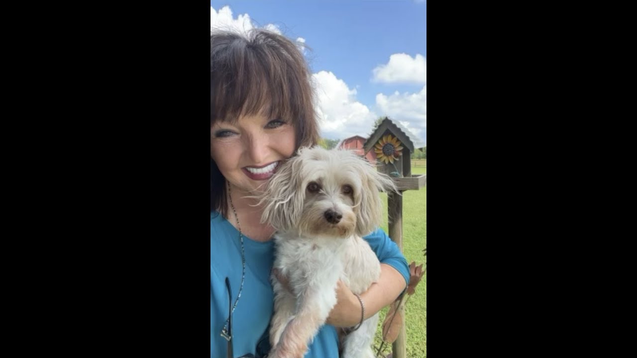 Meet me at The Millhouse and beyond!