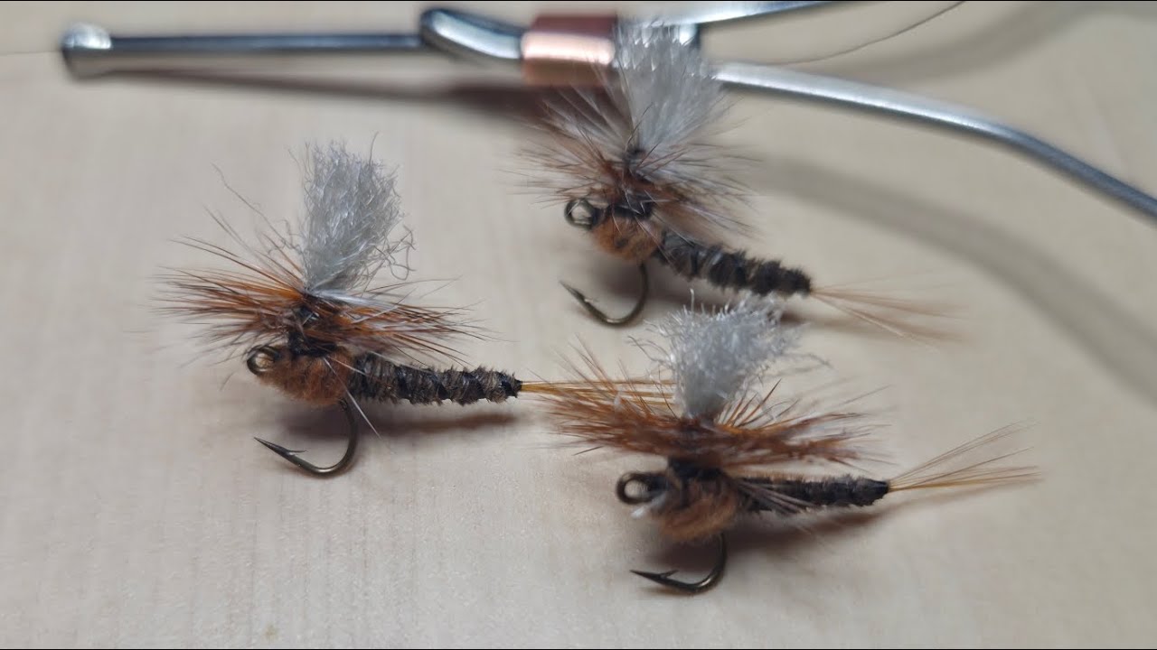 Extended body mayfly
