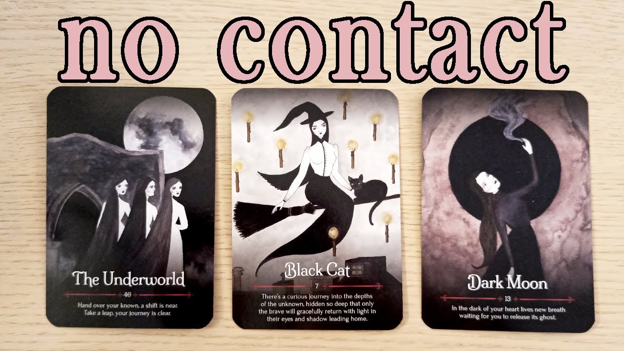 NO CONTACT!  THEIR FEELINGS, THOUGHTS, ACTIONS!  PICK A CARD TIMELESS TAROT READING