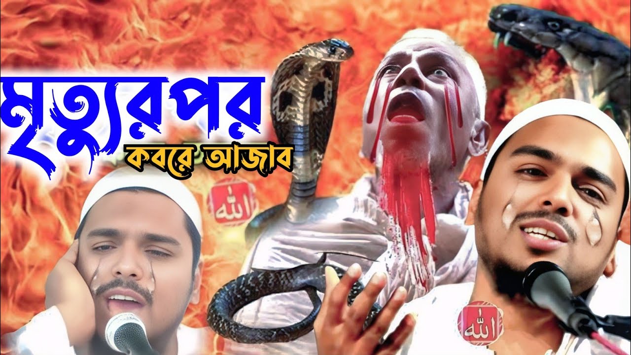 মৃত্যুর পর কবরের আযাব পীরজাদা আব্বাস সিদ্দিক Pirzada Abbas Siddique Jalsha ২০২৬। বাংলা সেরা ওয়াজ