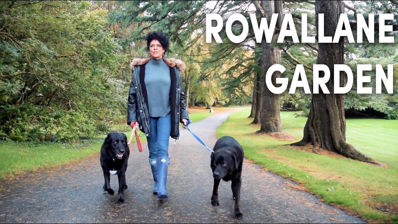 Rowallane Garden