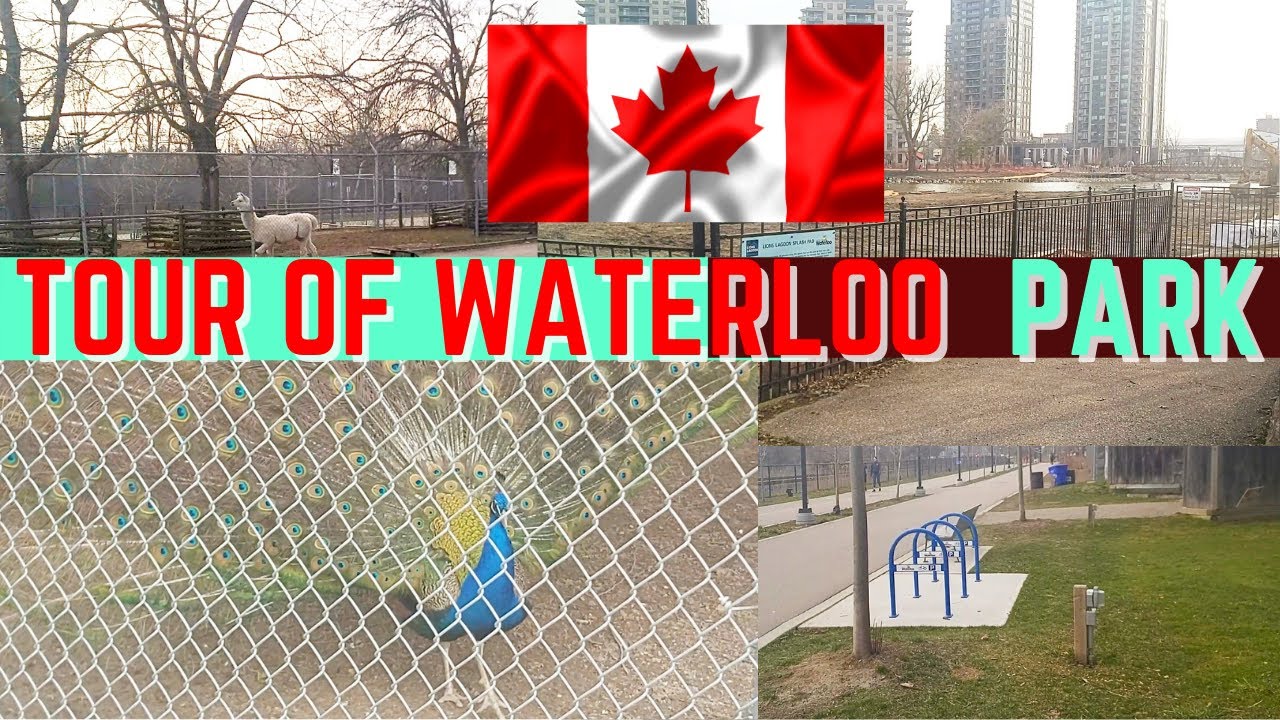 Explore The City Of Waterloo: Tour Of Waterloo Park////Peacocks*Lake*Nature