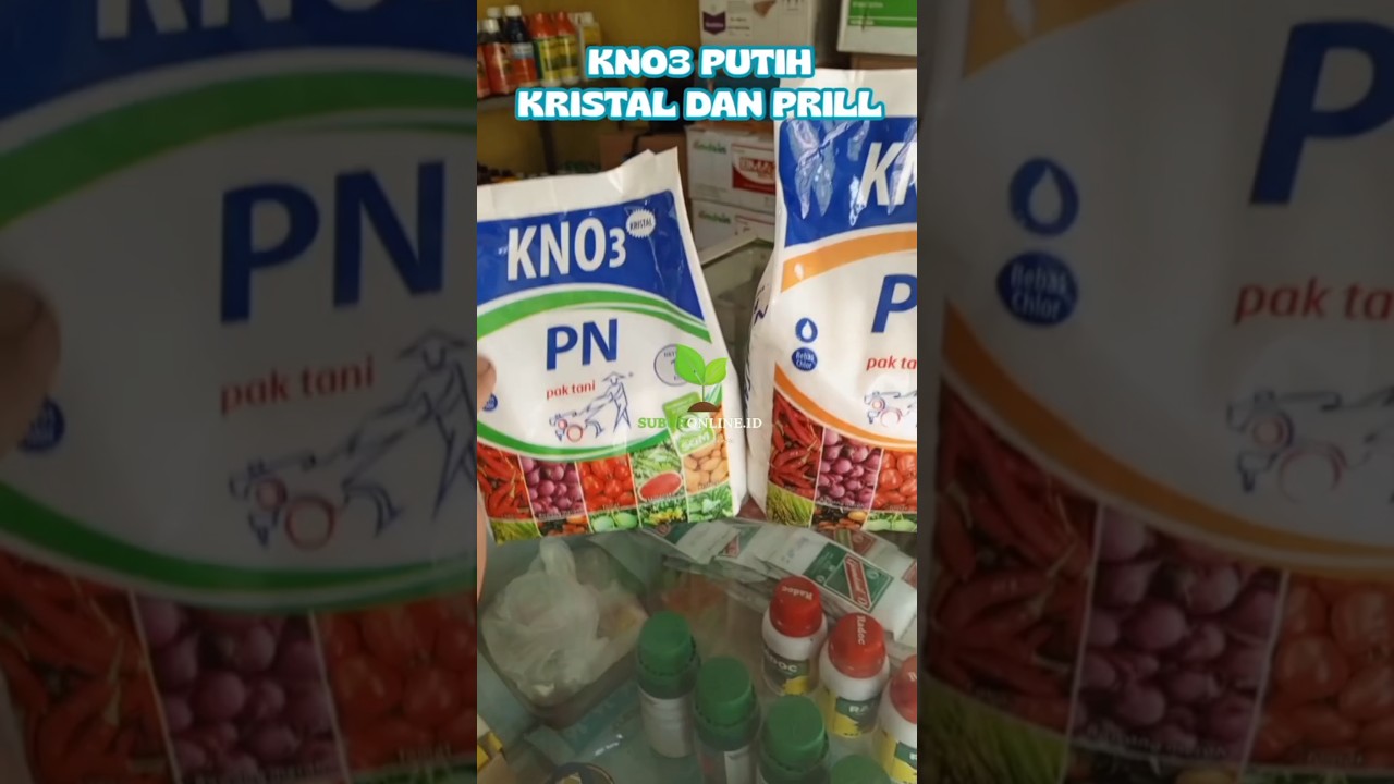 Yang masih penasaran tentang KNO 3 Putih Kristal dan Prill dari pak tani #pertanian #tokopertanian