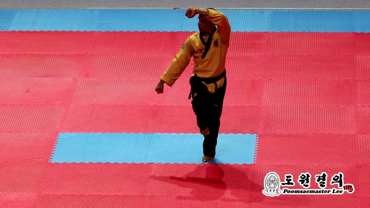 11th World Poomsae Championships U60 Male Individual Final KOR vs BRA