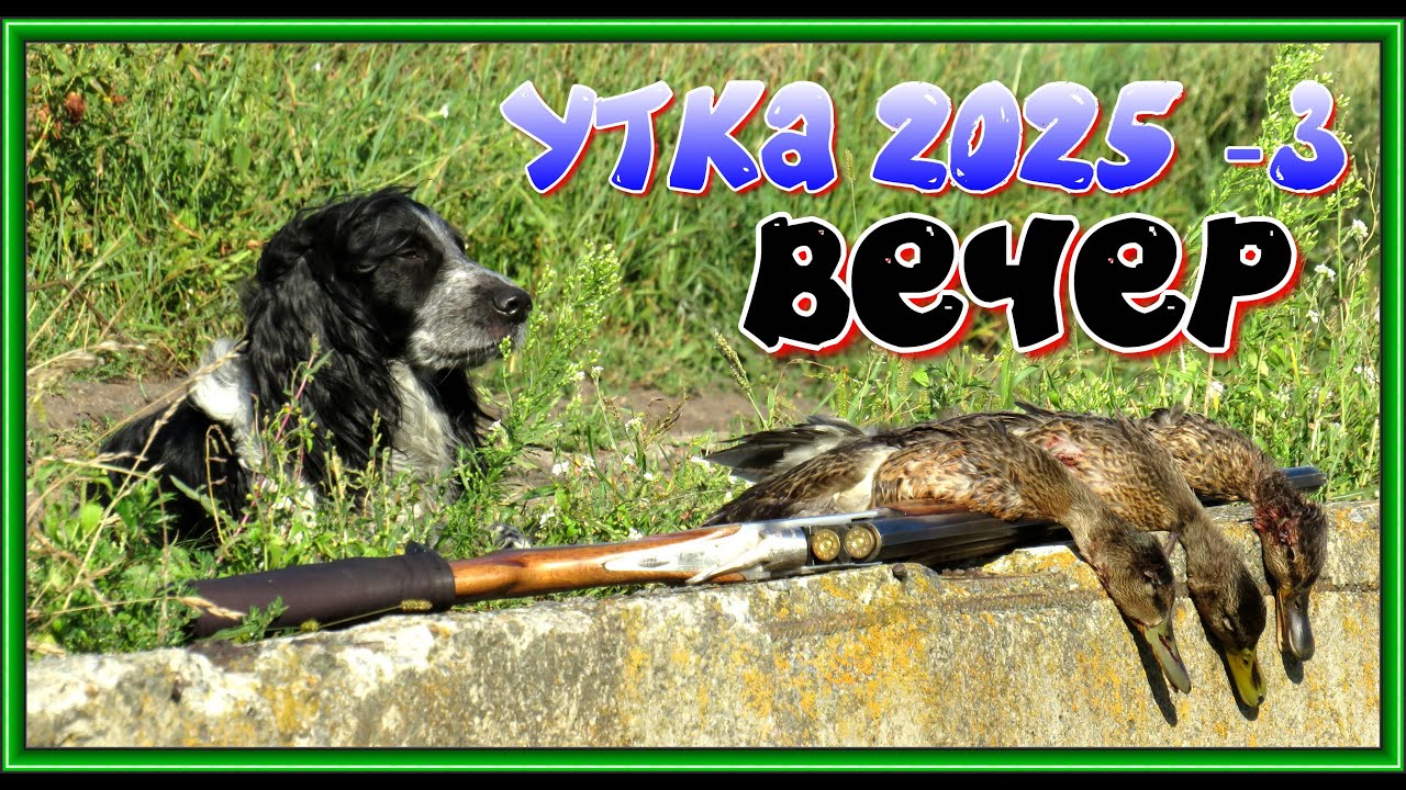 Охота на УТКУ.Часть вторая.ВЕЧЕР.