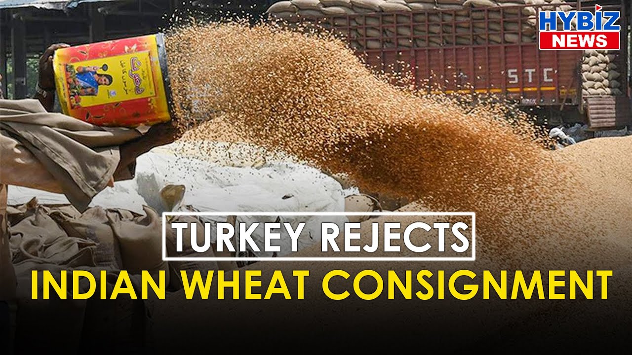 Turkish Authorities Have Denied Permission to Indian Wheat Consignment || Hybiz tv