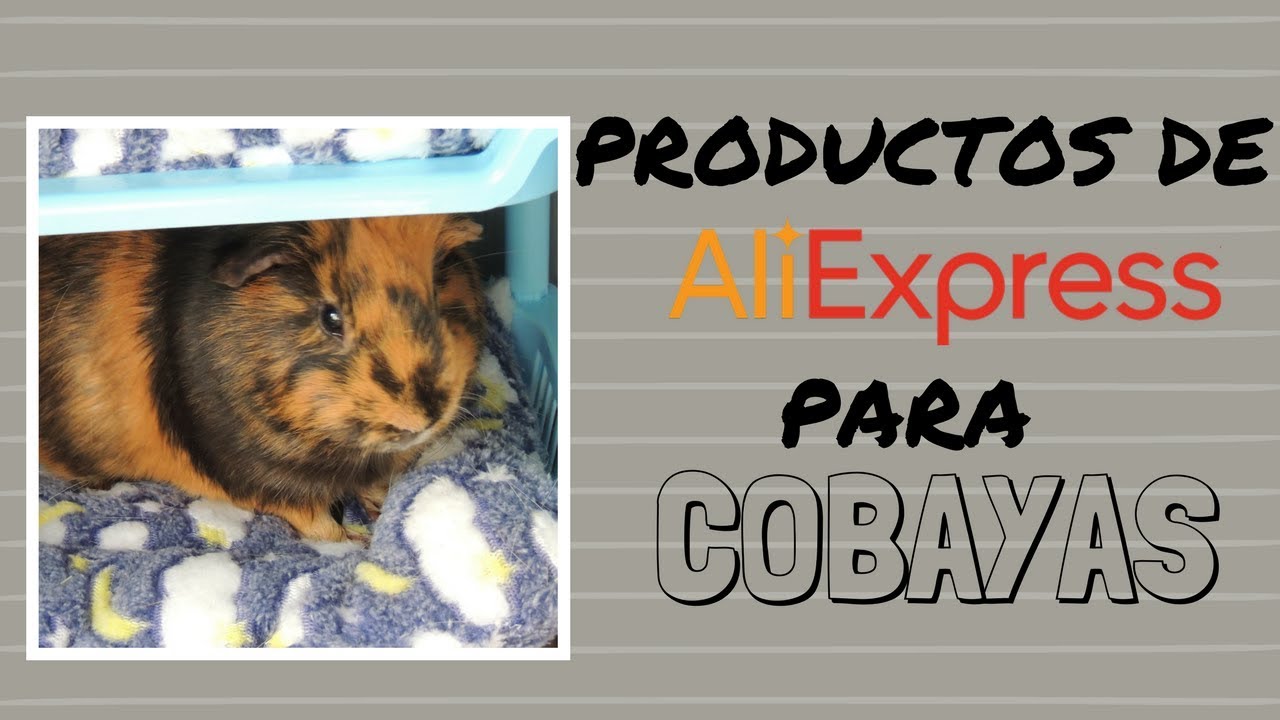 PRODUCTOS DE ALIEXPRESS PARA COBAYAS | Phoebe y Equis Cobayas