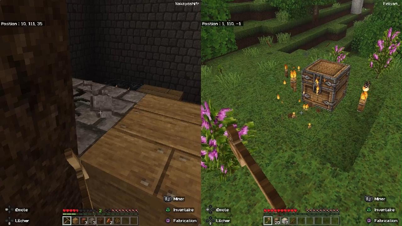 Minecraft