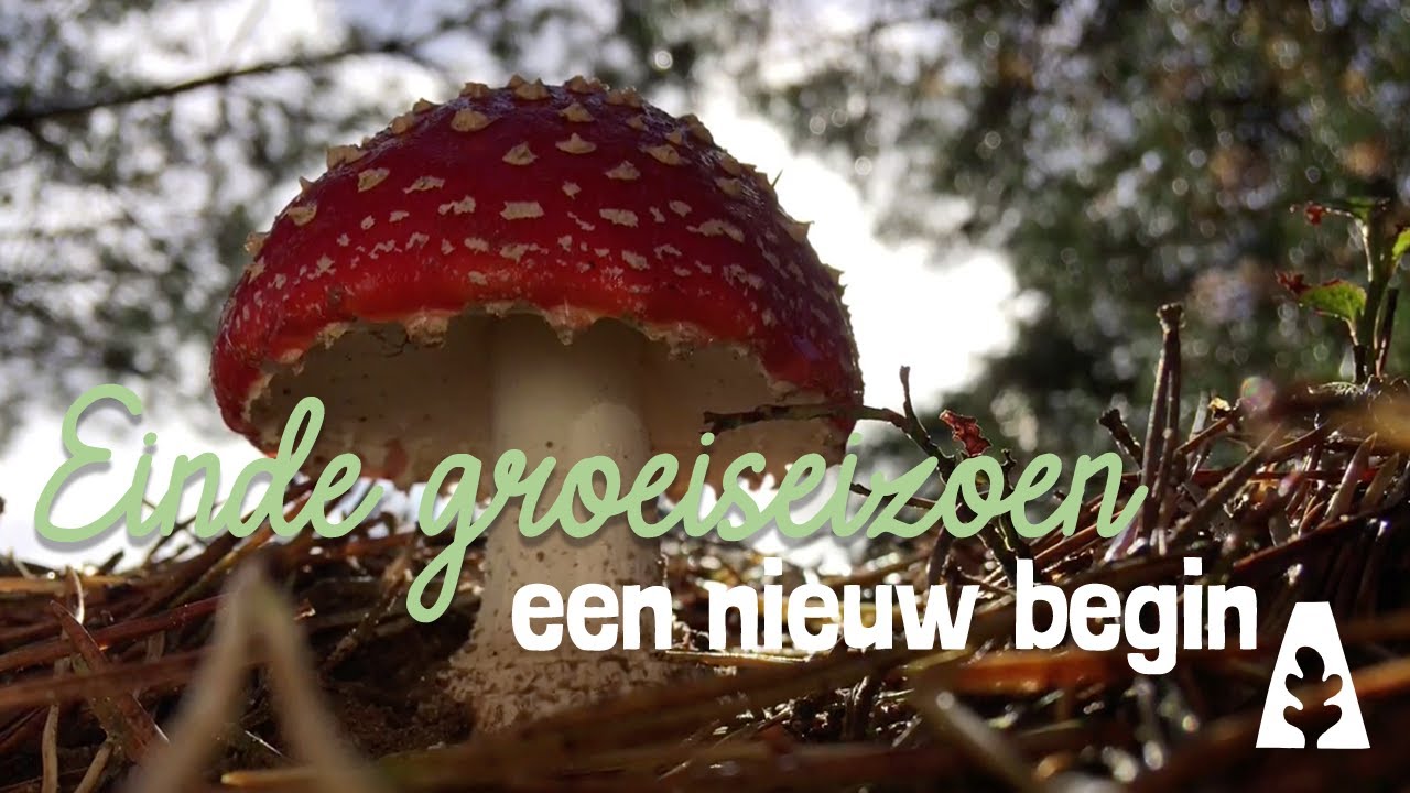 Stadstuinieren - Einde groeiseizoen - een nieuw begin