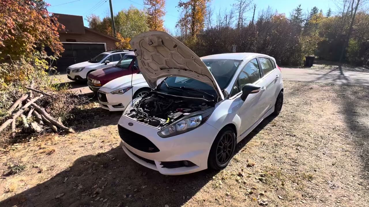 Сигнализация автомобиля Fiesta ST постоянно срабатывает **ИСПРАВЛЕНО**